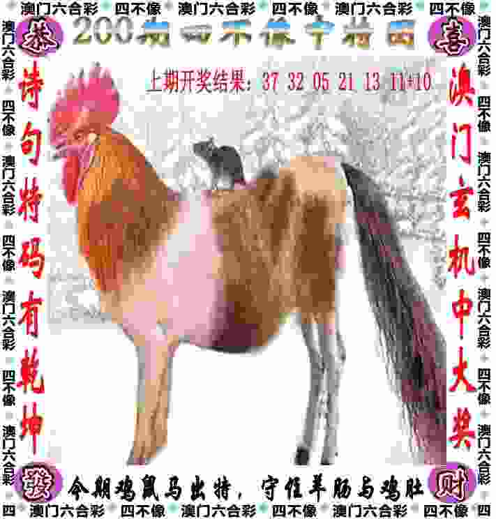 海纳百川，能容泰山否？中超重燃战火，西海岸队客场挑战山东泰山